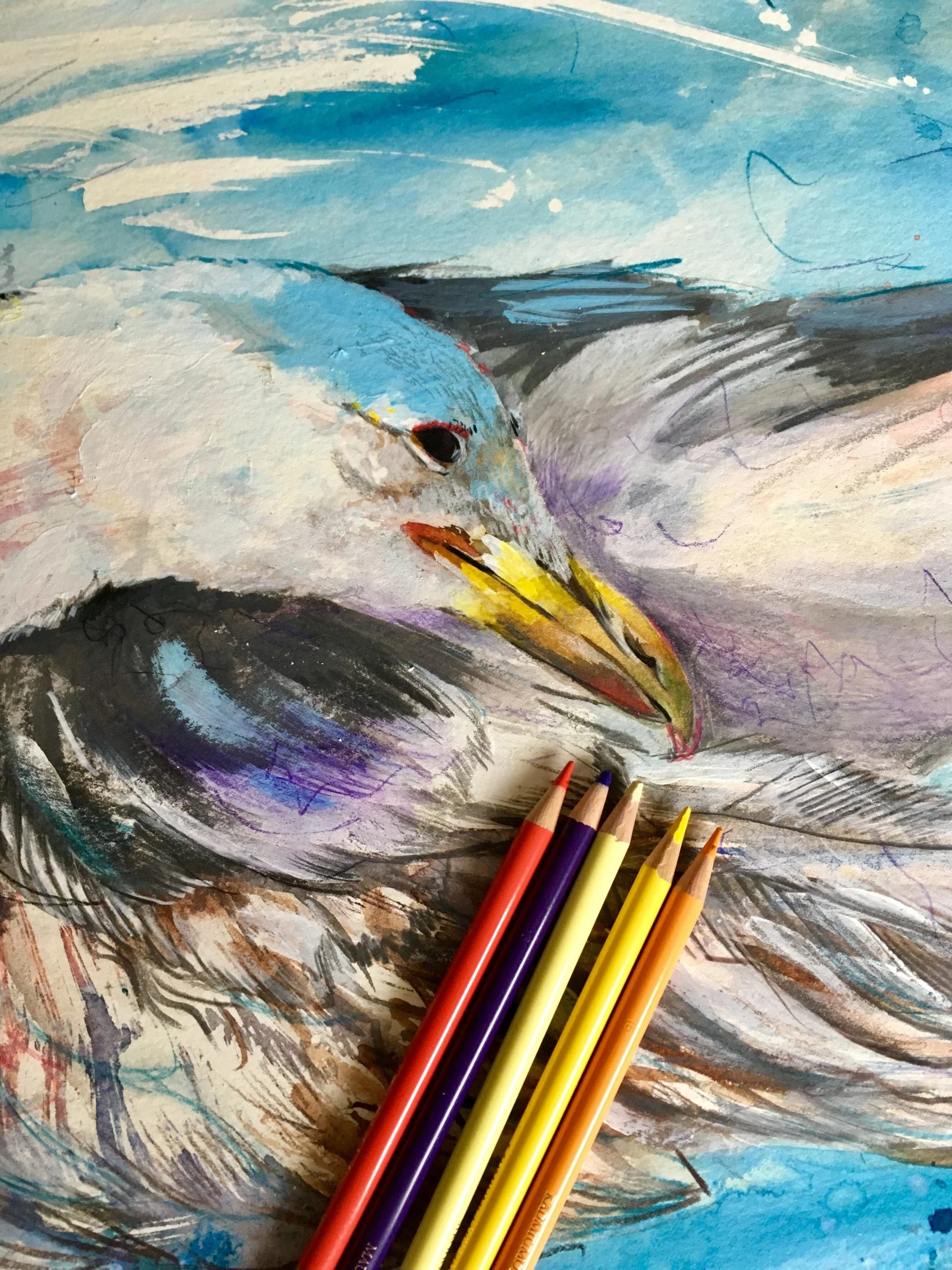 Excited to share the latest addition to my #etsy shop: Seagull Giclee Art Print, Watercolour, coloured pencil, Ink, artwork http://etsy.me/2nGrNbk