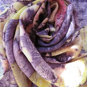 Multicoloured Eco Printed Scarf featuring Strawberry leaves