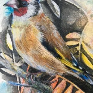 Autumn Goldfinch Giclee Print of an Ink and Coloured Pencil Painting