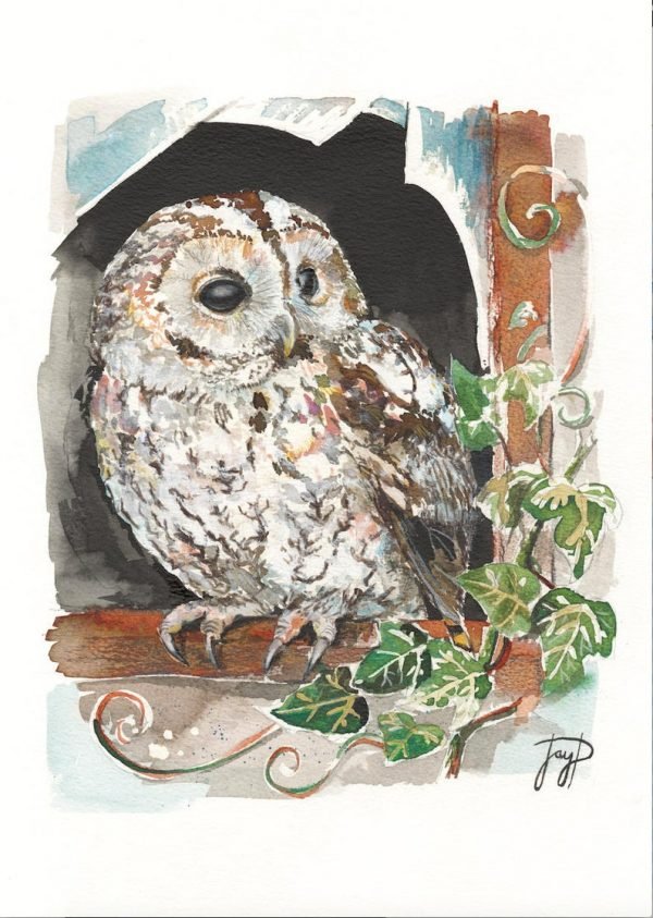 Wise Owl Painting Giclee Print