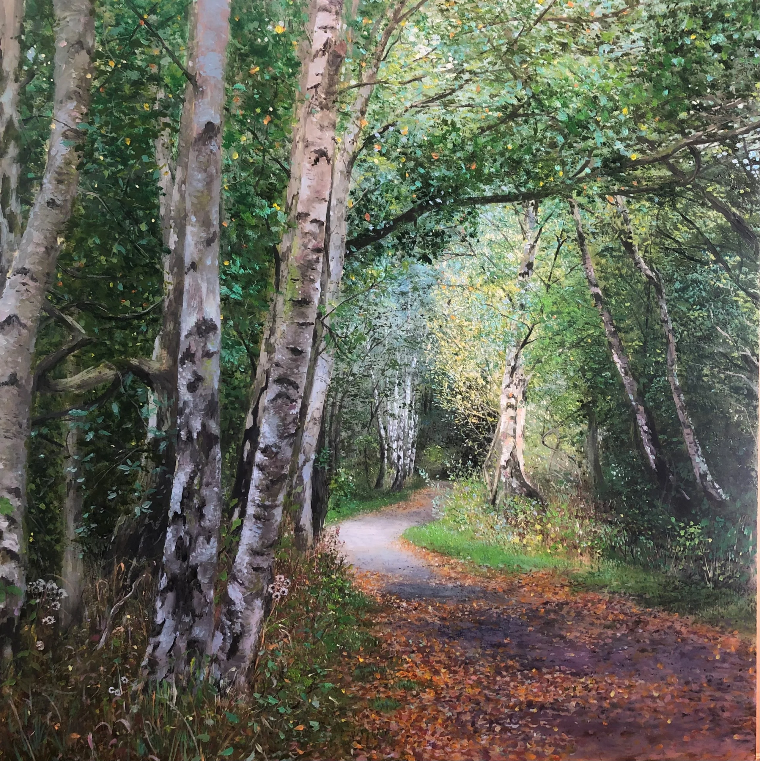 old railway lines Auckland Way